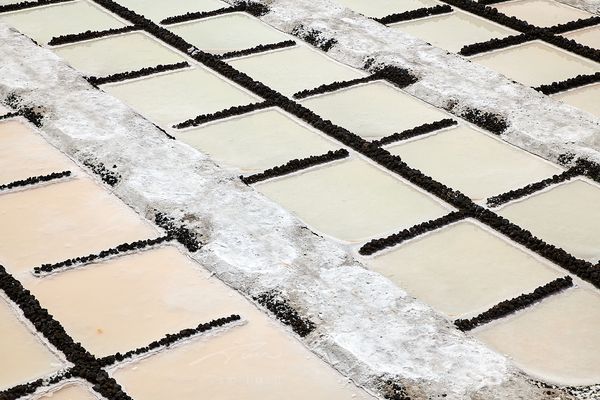 Salinas de Fuencaliente