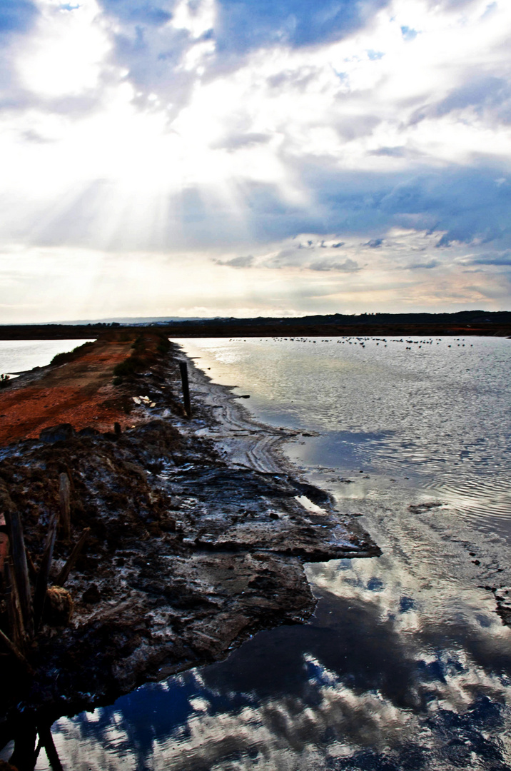 salinas de Isla Cristina