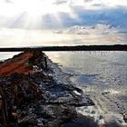 salinas de Isla Cristina