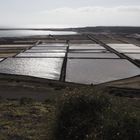 SALINAS DE JANUBIO 1