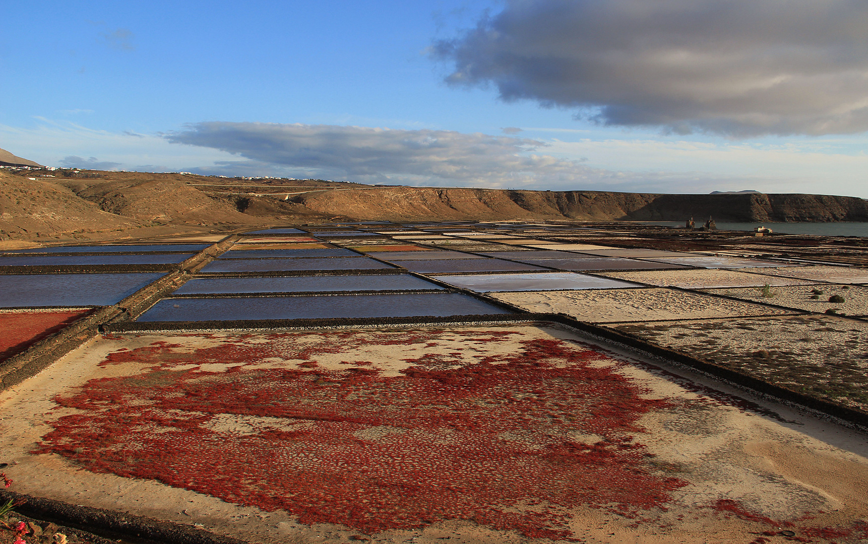 Salinas de Janubio