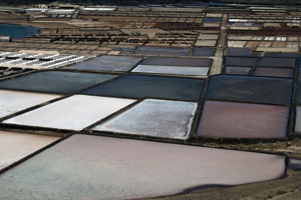 Salinas de Janubio