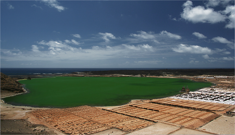 Salinas de Janubio