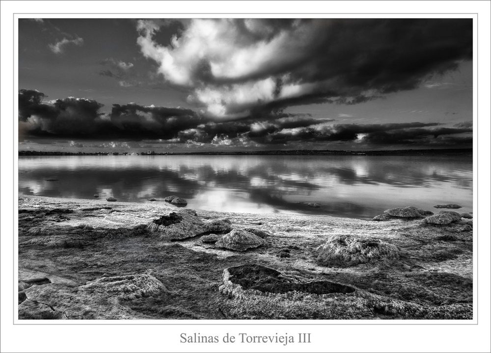 Salinas de Torrevieja