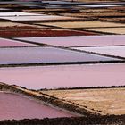 salinas: el oro del agua del mar