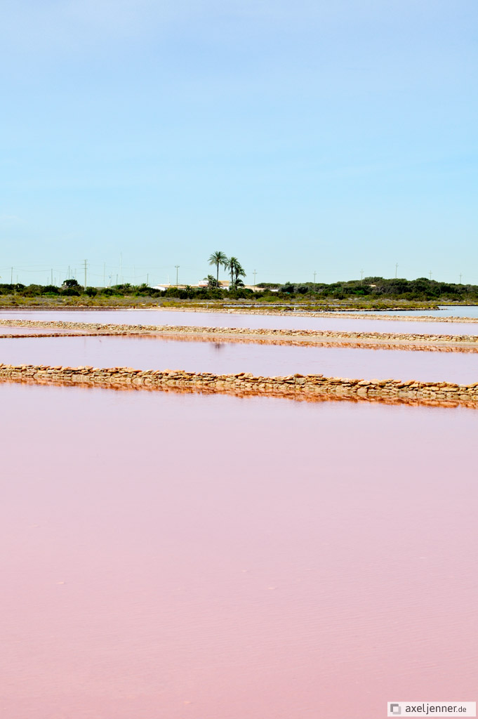 Salinas, La Savina