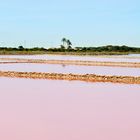 Salinas, La Savina