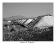 Saline di Marisa Mercadante 