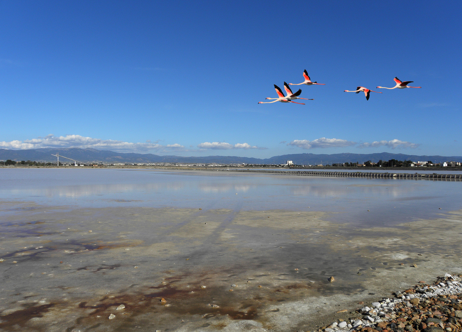 Saline Cagliari