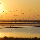 Saline di Cervia