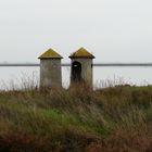 saline di Cervia