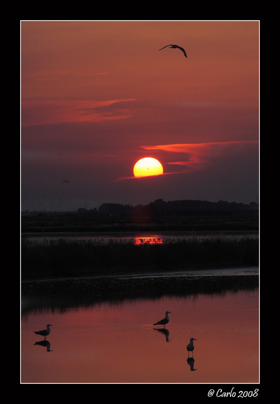 Saline di Cervia