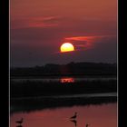 Saline di Cervia