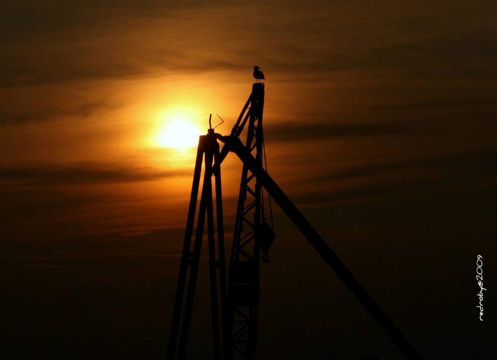 saline di cervia