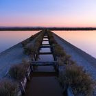 Saline di Cervia