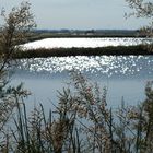 Saline di Cervia