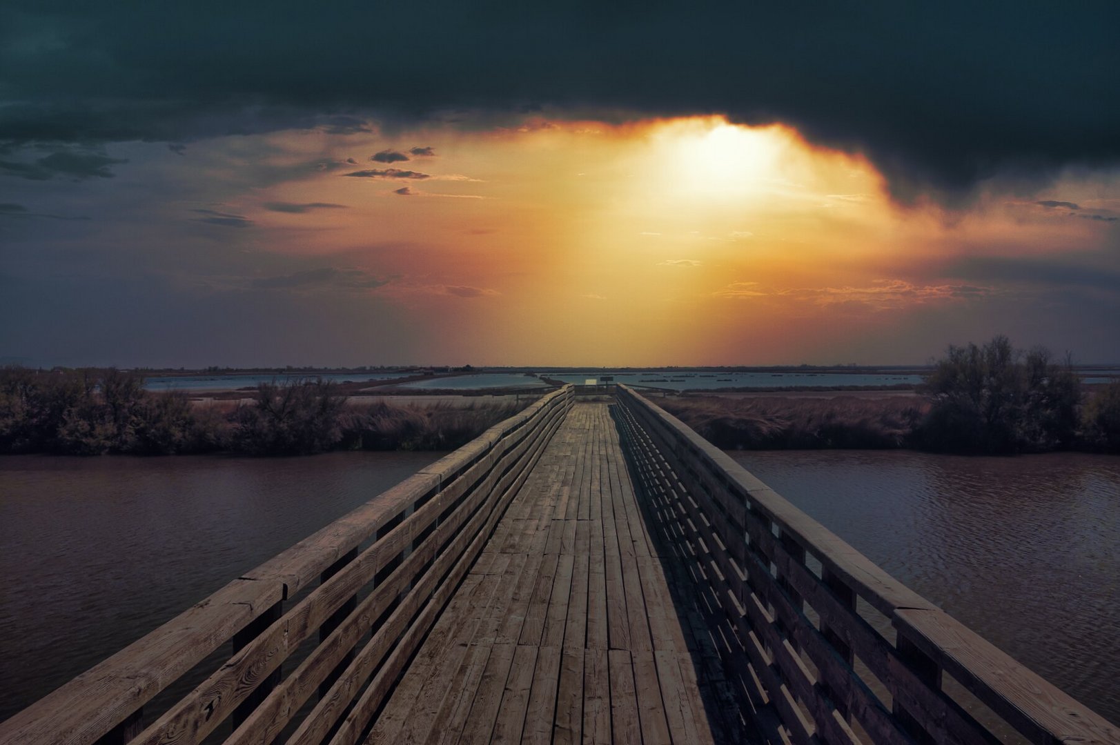  Saline di Comacchio, Canale Logonovo