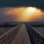  Saline di Comacchio, Canale Logonovo