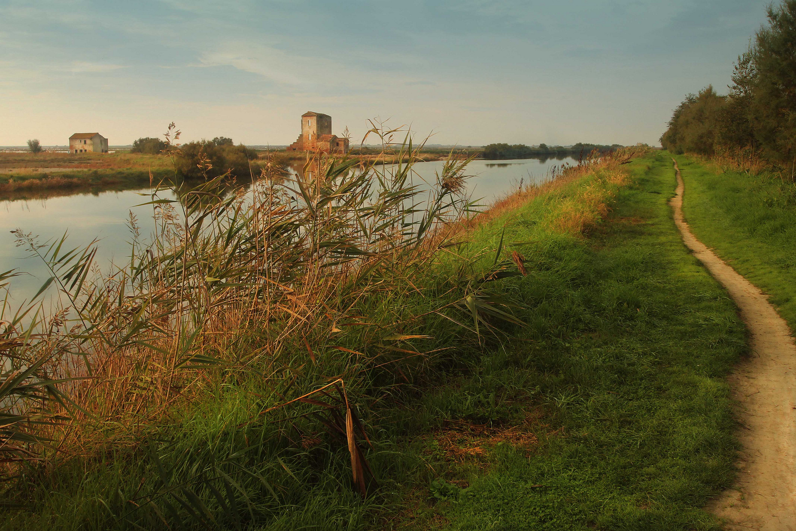 Saline di Comacchio