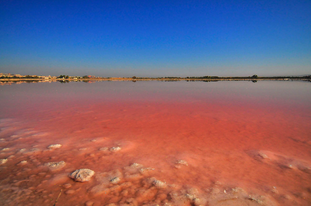 Saline di Stato - Cagliari