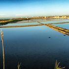 Saline di Trapani