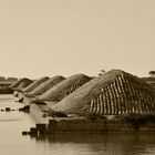 Saline di Trapani