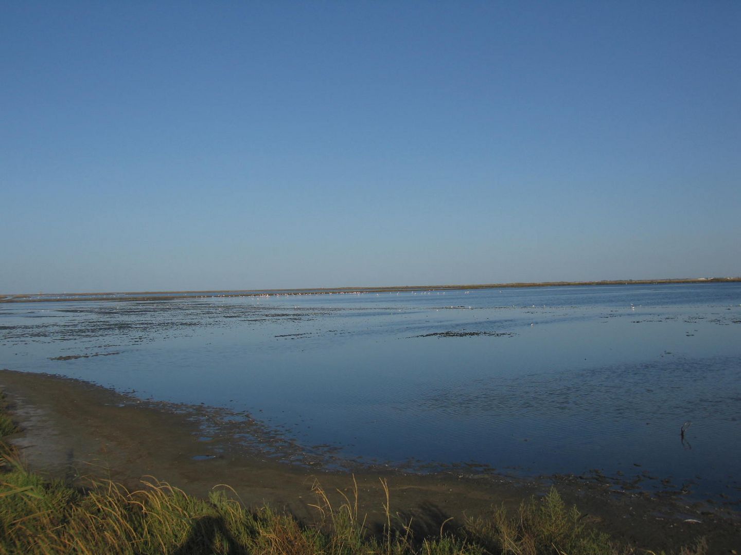 Saline du Giraud