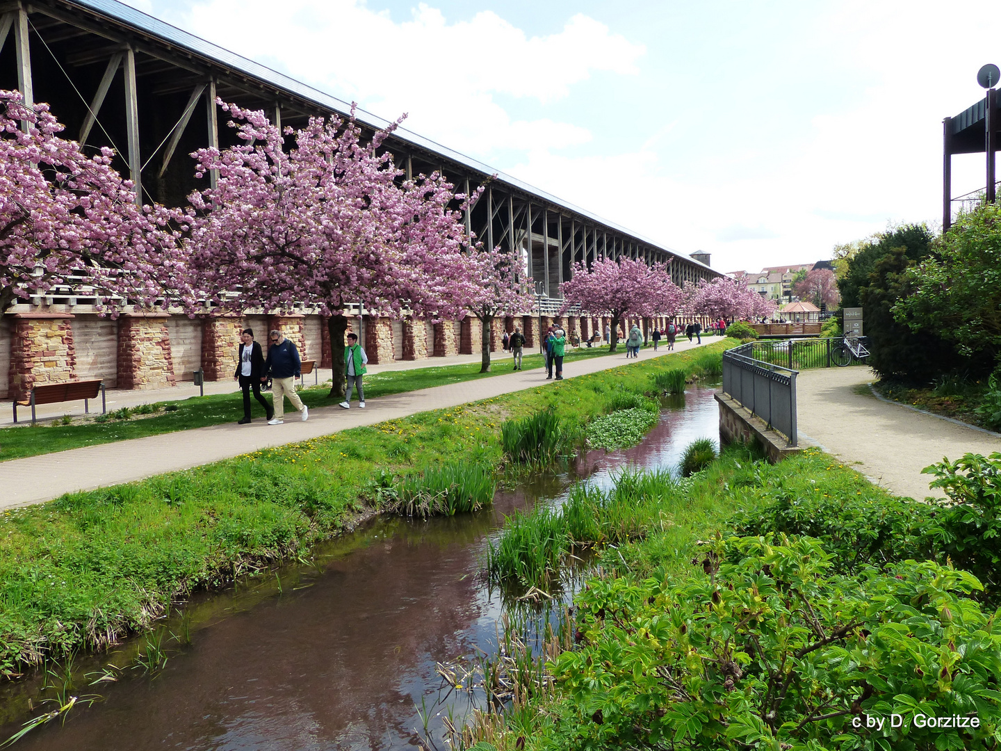 Saline im Kurpark !