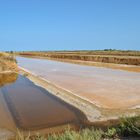 Saline in Portugal