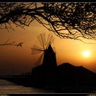 Saline Marsala