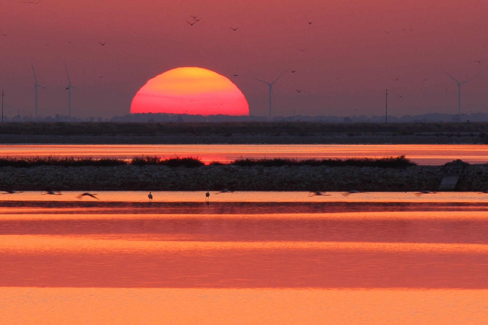 Saline - Trinitapoli, Puglia