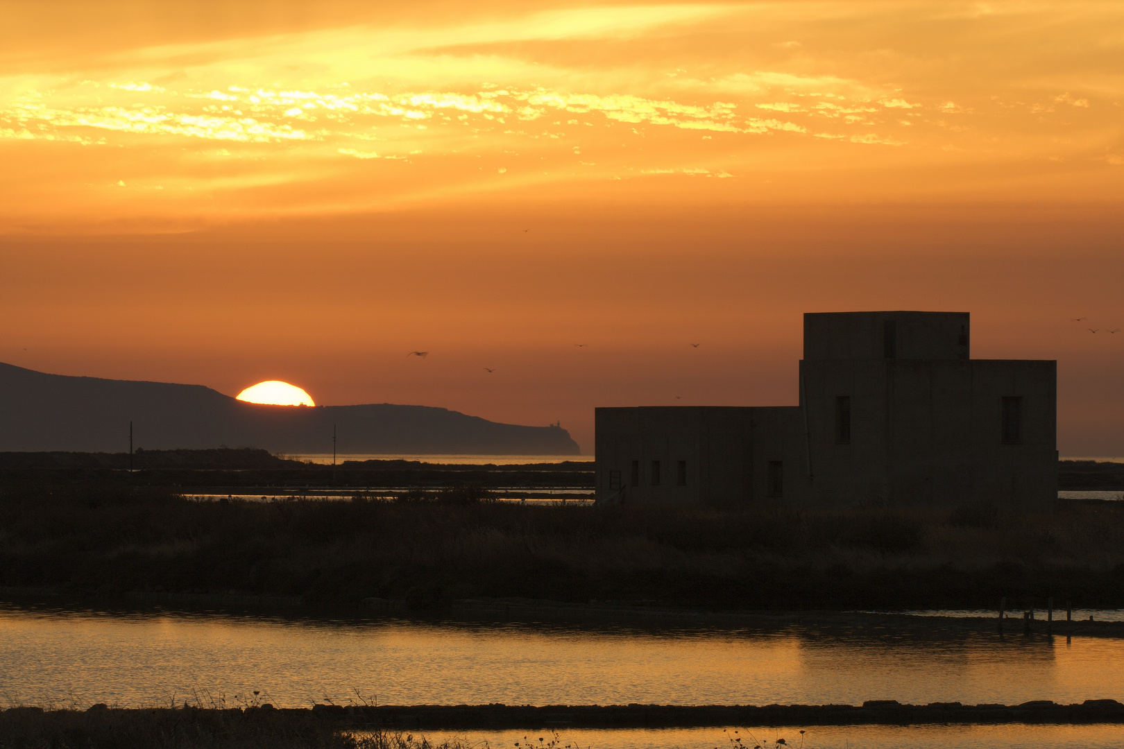 saline+favignana