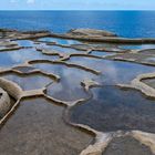 Salinen an der Küste (Gozo / Malta)