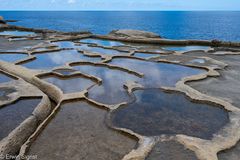 Salinen an der Küste (Gozo / Malta)