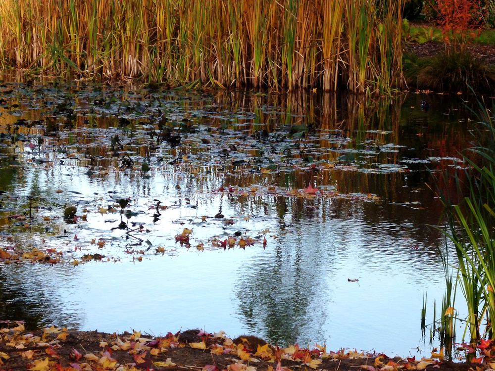 Salinenpark - Rheine.