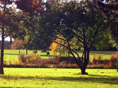 Salinenpark - Rheine,2013.