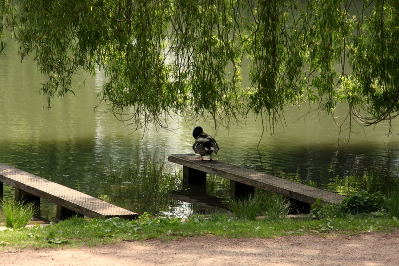 Salinensee Bad Dürrheim