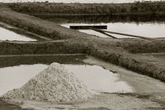 Salines -1-