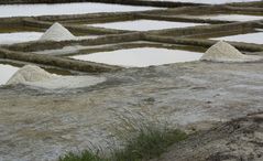 Salines -2-