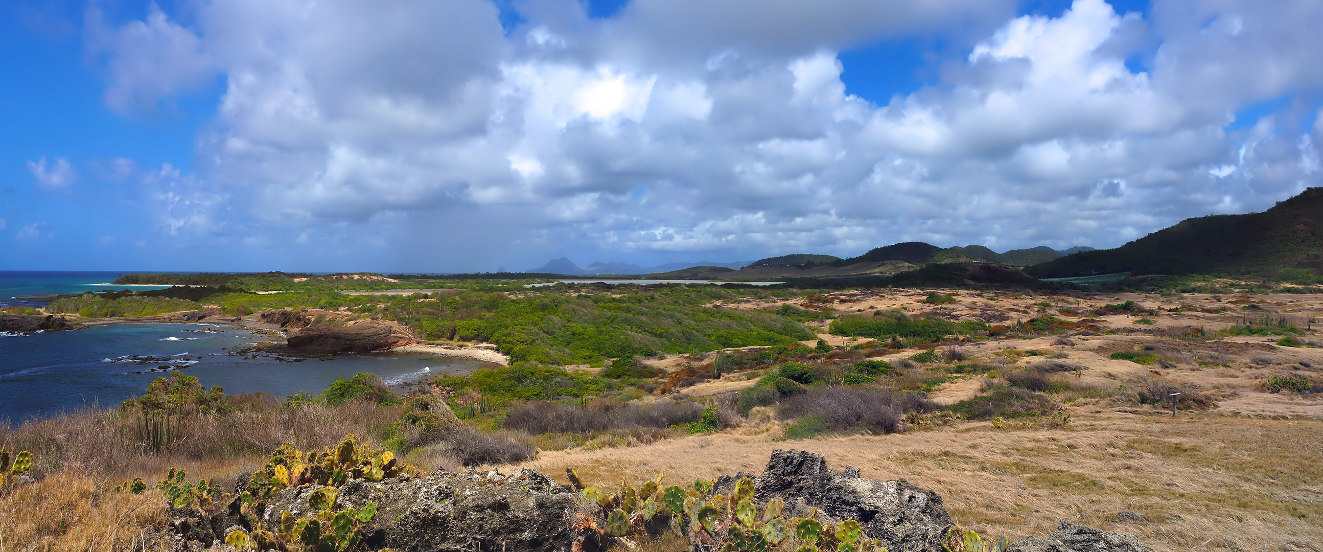 SALINES 4