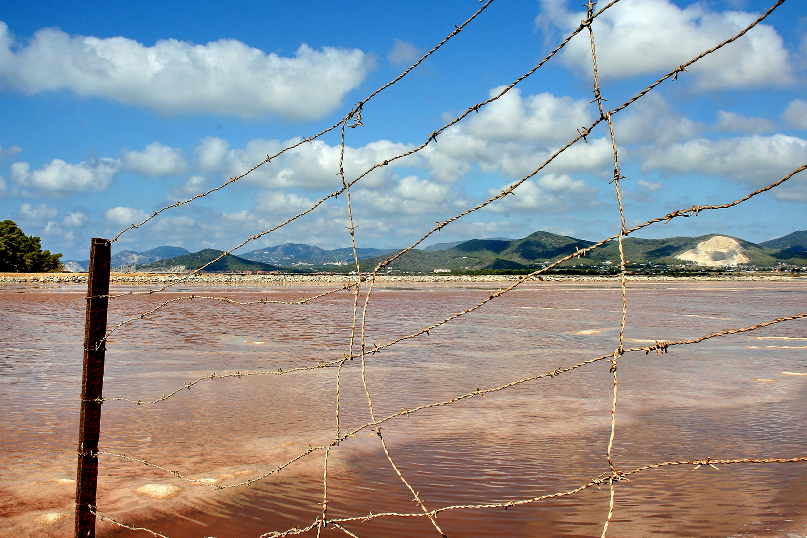 SALINES