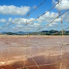 SALINES