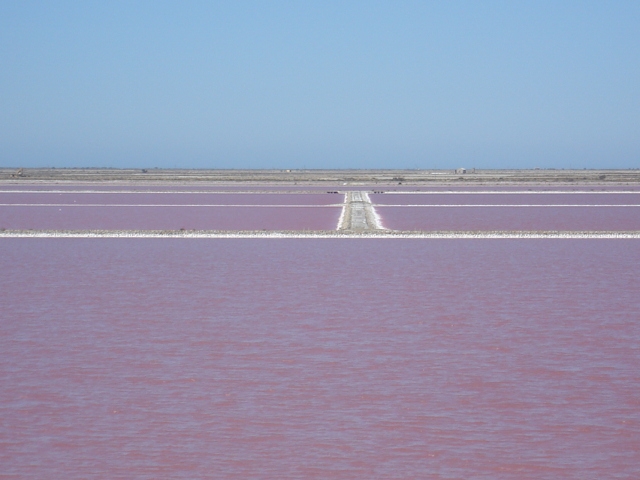 Salines de Camargue