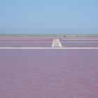 Salines de Camargue