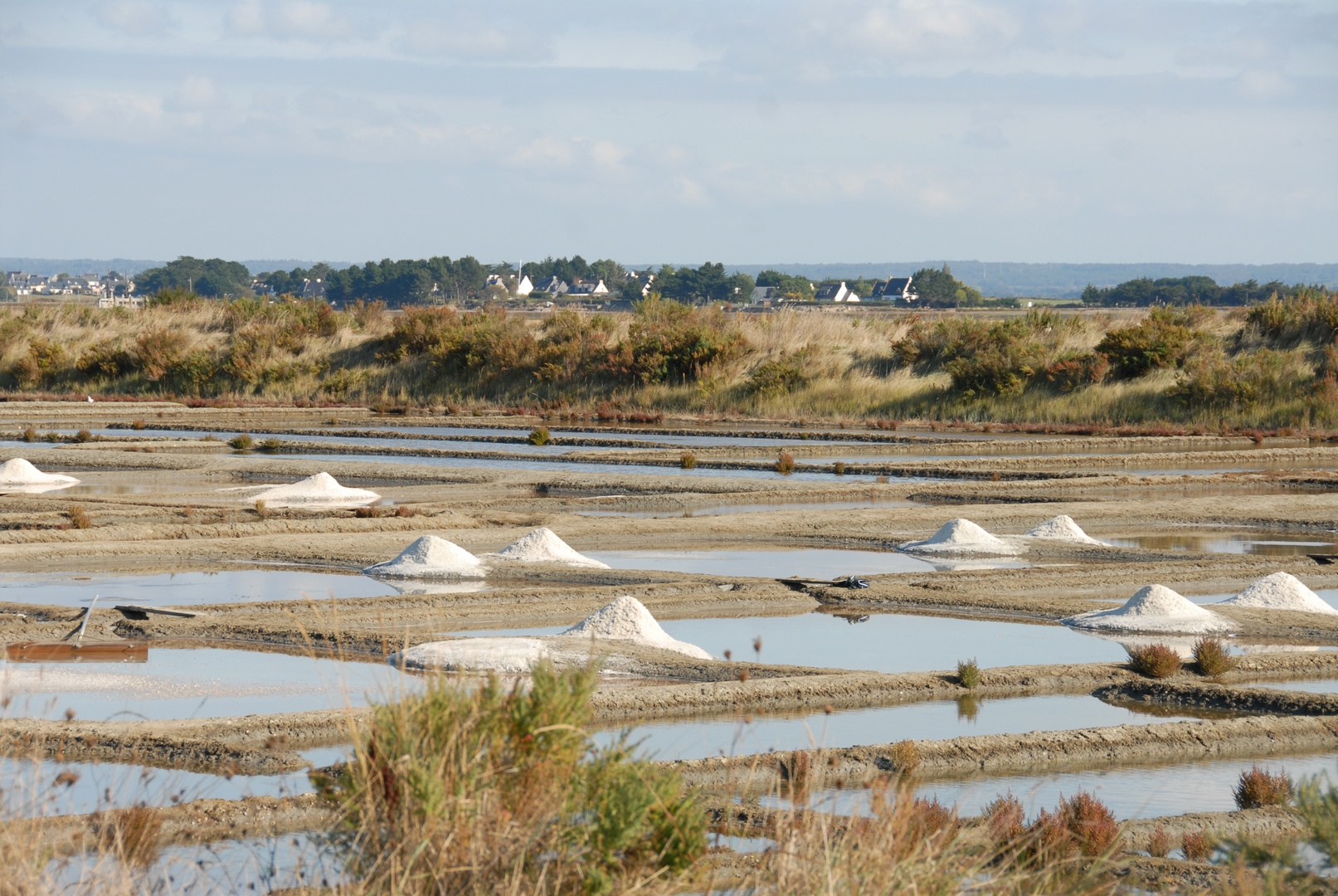 salines