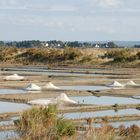 salines