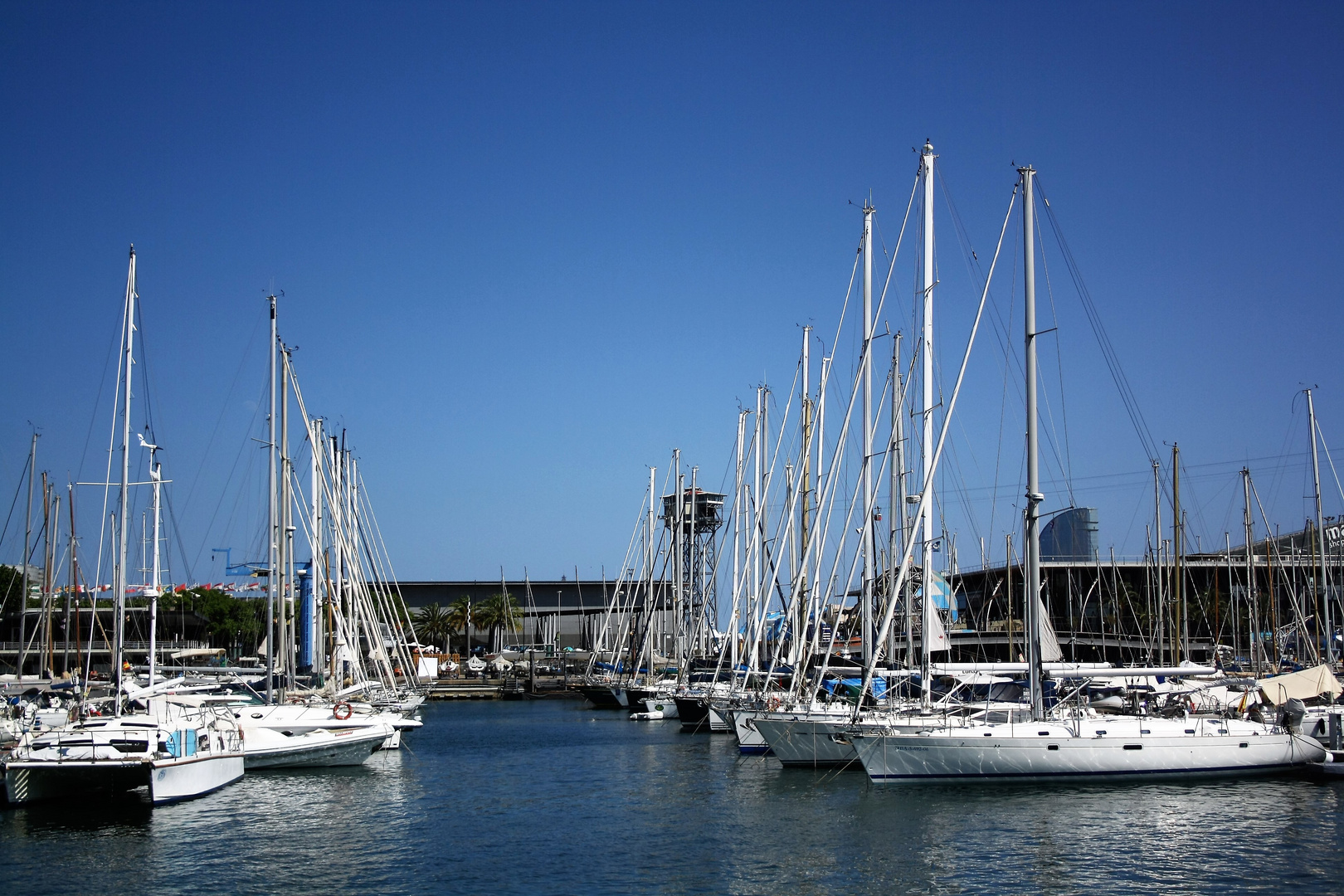 saling yacht marina