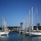 saling yacht marina