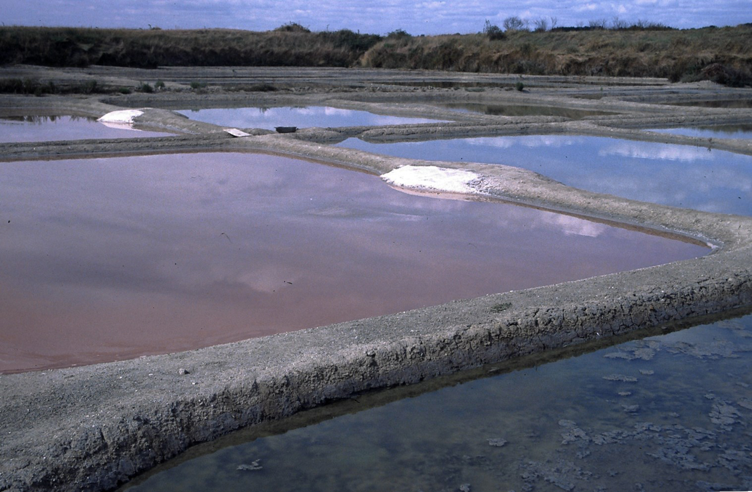 SALINS A GUERANDE ORIGINAL JPEG