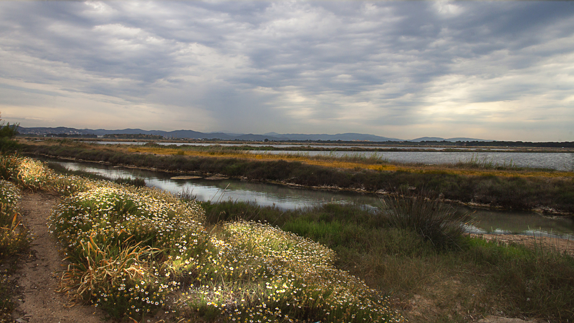 Salins des Pesquiers en hiver